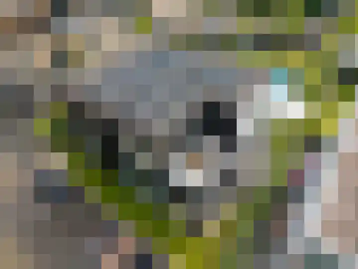Weemhofseiland 11 Eelderwolde thumbnail 67