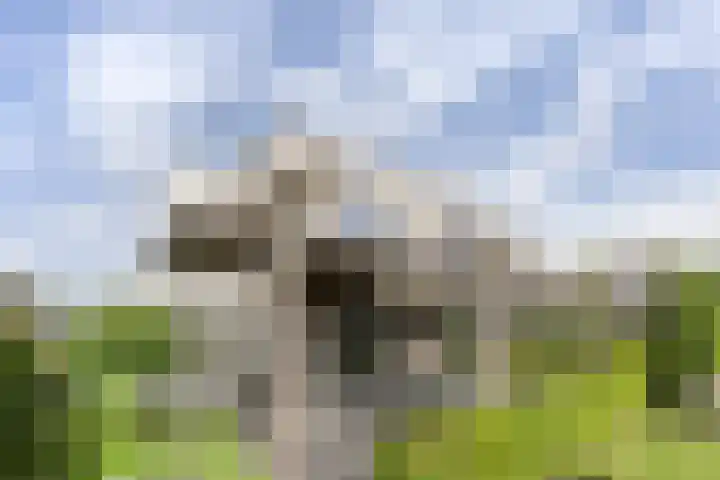 Weemhofseiland 23 Eelderwolde thumbnail 26