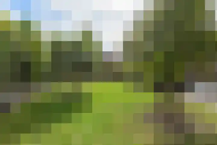 Weemhofseiland 23 Eelderwolde thumbnail 27