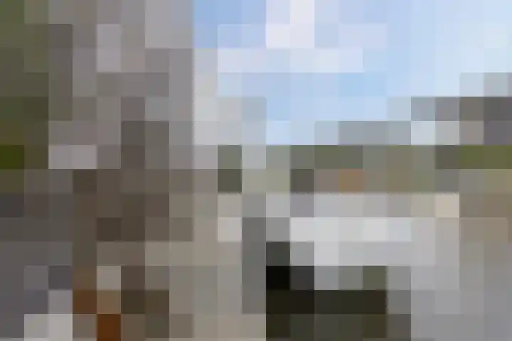 Weemhofseiland 23 Eelderwolde thumbnail 31