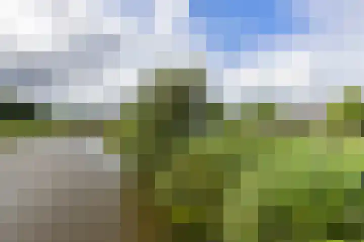 Weemhofseiland 23 Eelderwolde thumbnail 33