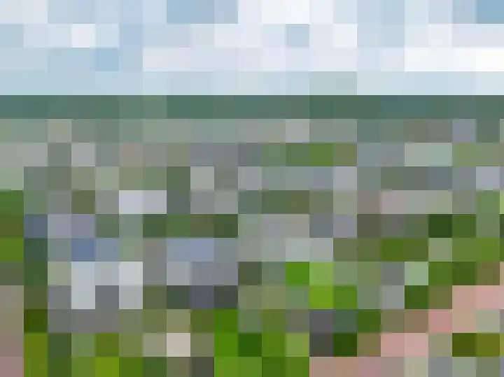 Weemhofseiland 23 Eelderwolde thumbnail 36