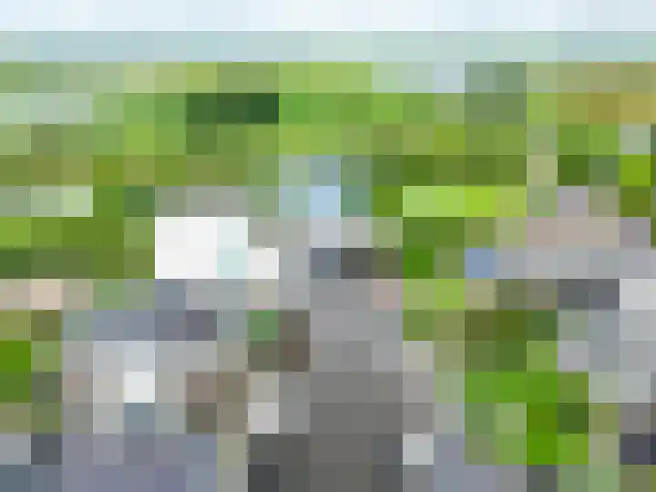 Weemhofseiland 23 Eelderwolde thumbnail 4