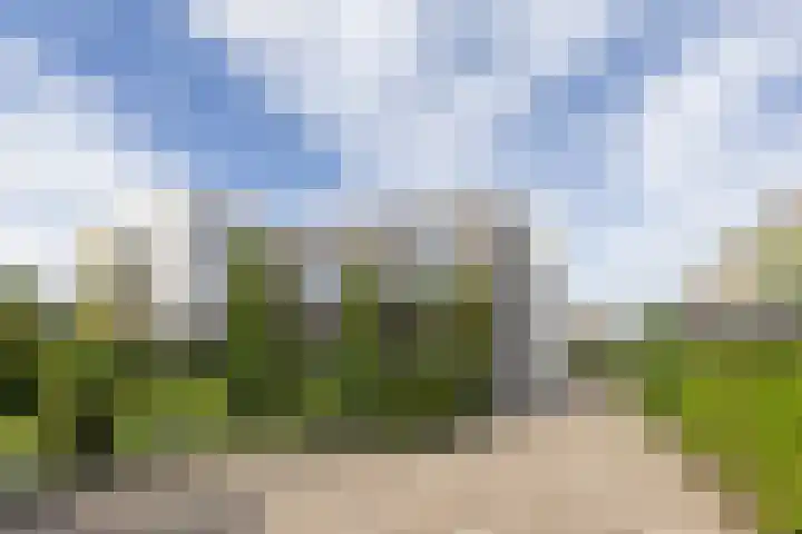 Weemhofseiland 23 Eelderwolde thumbnail 5