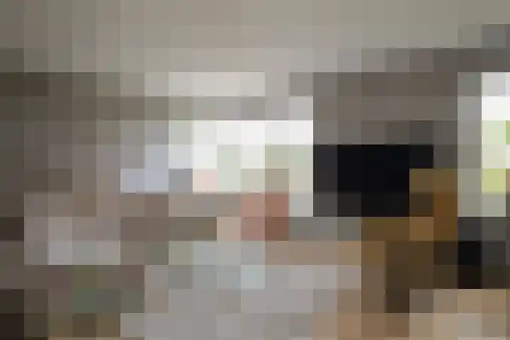 Weemselo 1 Losser thumbnail 11