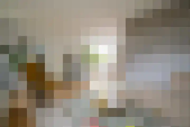 Weemselo 1 Losser thumbnail 12