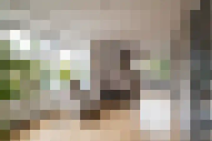 Weemselo 1 Losser thumbnail 13