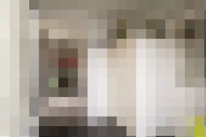 Weemselo 1 Losser thumbnail 19