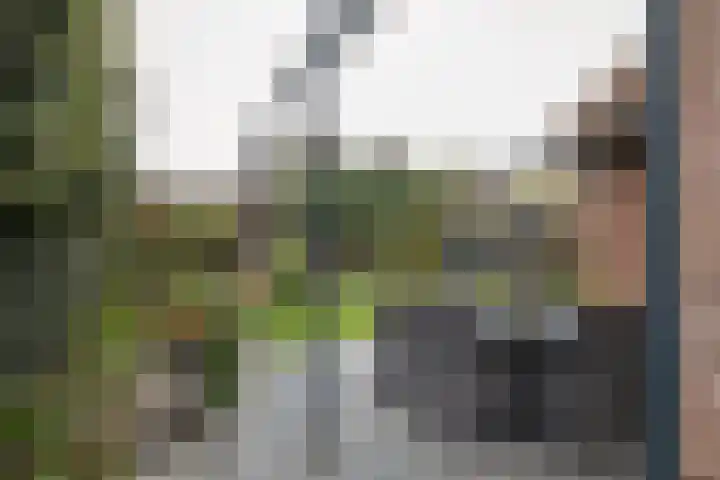 Weemselo 1 Losser foto 2