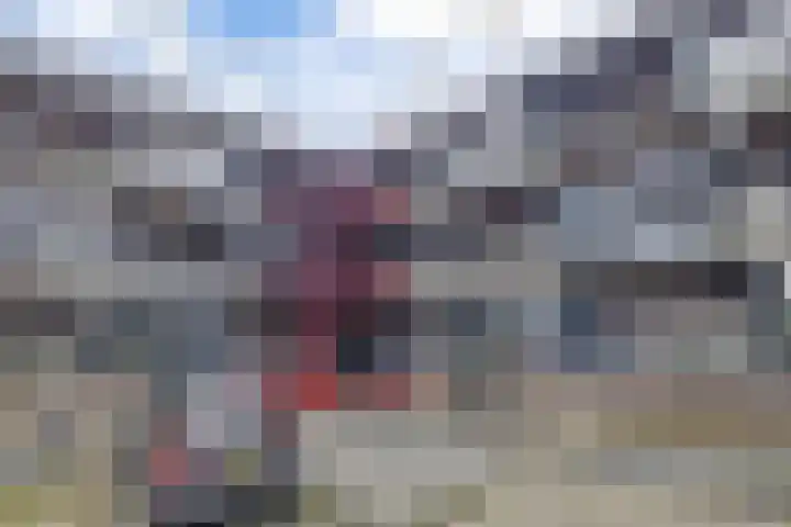 Weemselo 1 Losser thumbnail 20