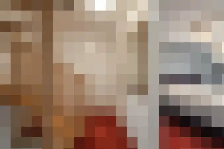 Weemselo 1 Losser thumbnail 22