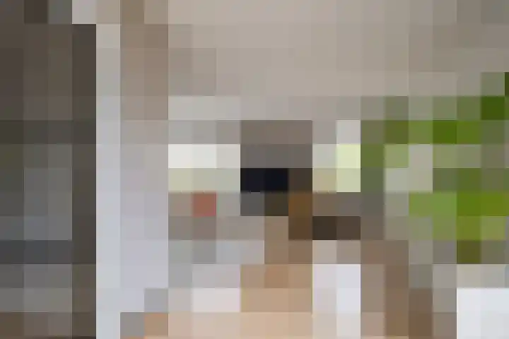 Weemselo 1 Losser foto 3