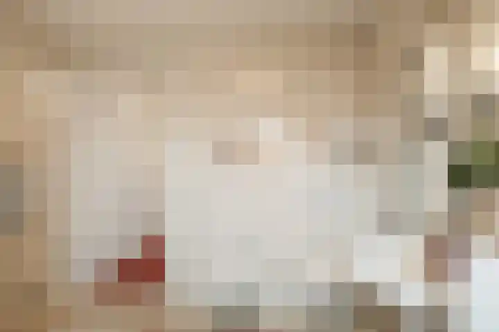 Weemselo 1 Losser thumbnail 30