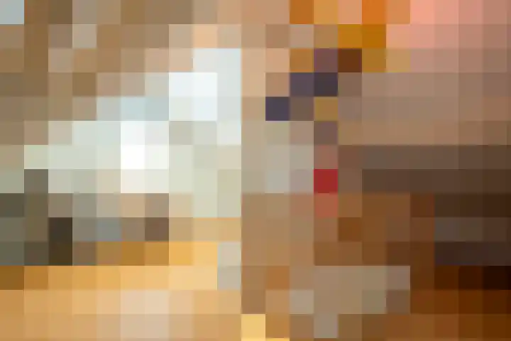 Weemselo 1 Losser thumbnail 32