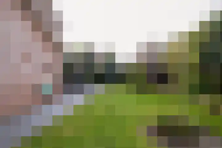 Weemselo 1 Losser thumbnail 41