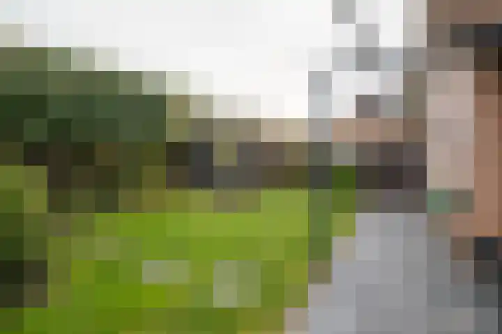 Weemselo 1 Losser thumbnail 42