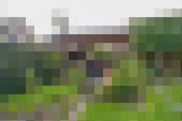 Weemselo 1 Losser thumbnail 43
