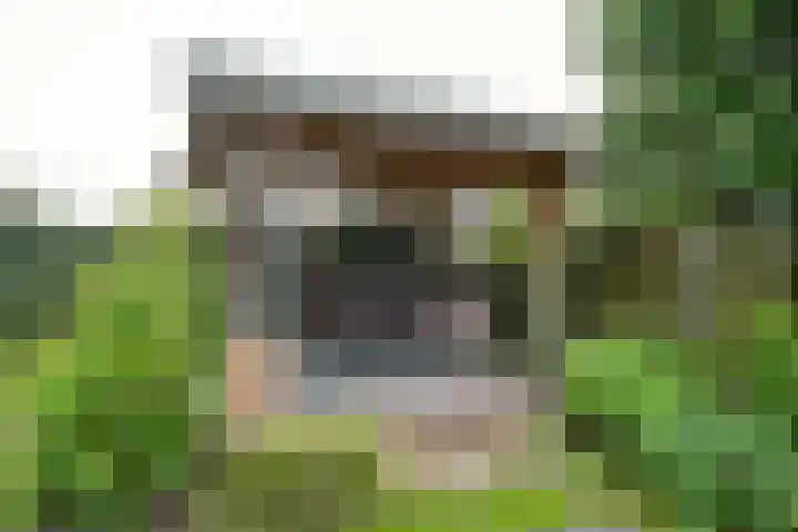 Weemselo 1 Losser thumbnail 44