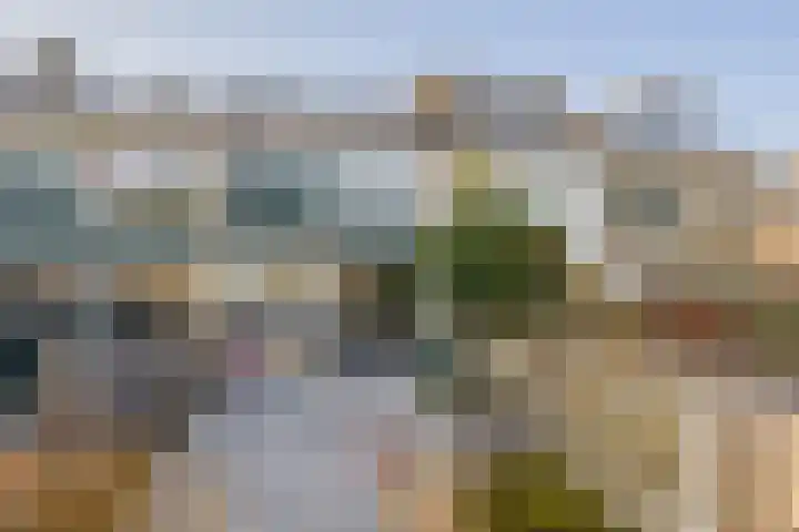 Weemselo 1 Losser thumbnail 45