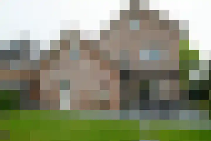 Weemselo 1 Losser thumbnail 45