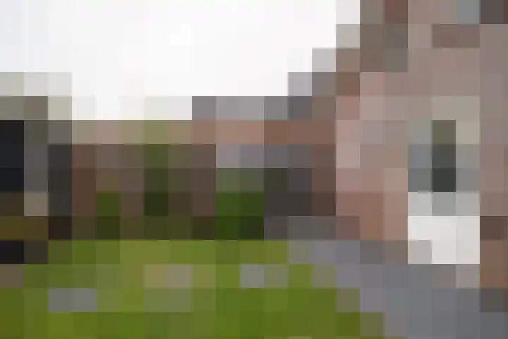 Weemselo 1 Losser thumbnail 46