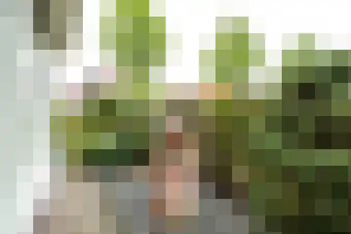 Weemselo 1 Losser thumbnail 47
