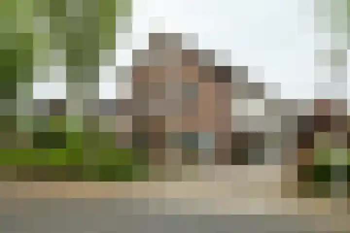 Weemselo 1 Losser thumbnail 48