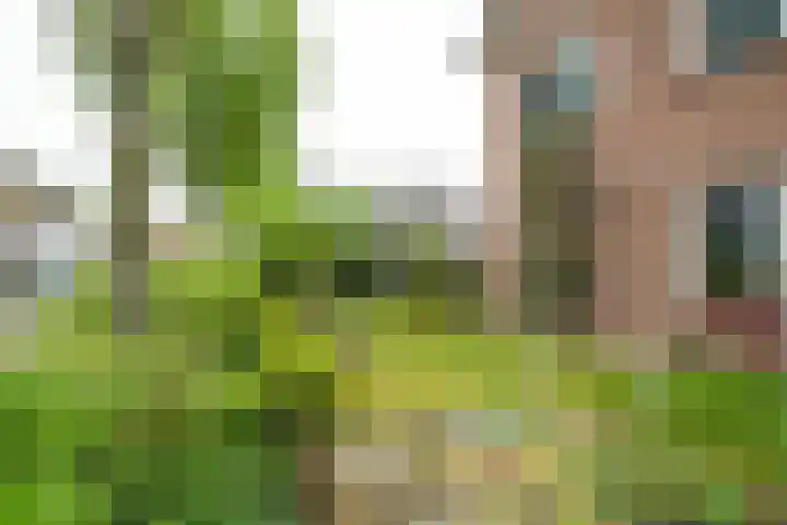 Weemselo 1 Losser thumbnail 49