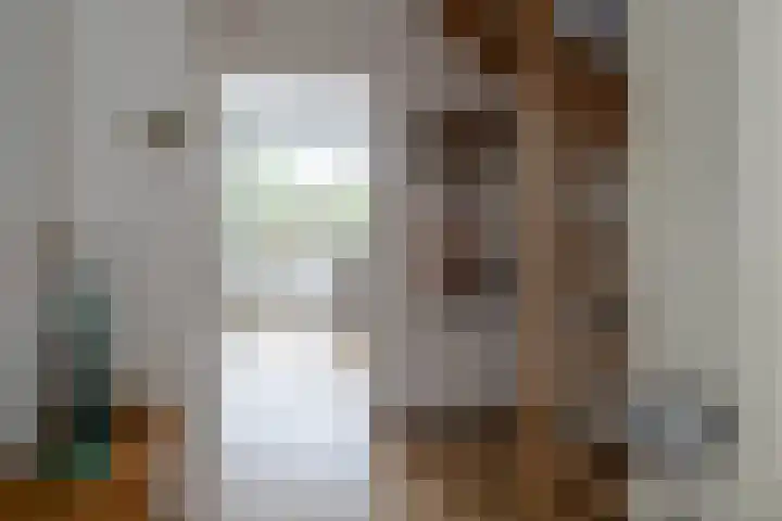 Weemselo 1 Losser thumbnail 7