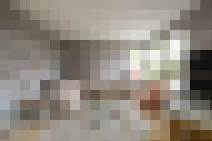 Weemselo 1 Losser thumbnail 9