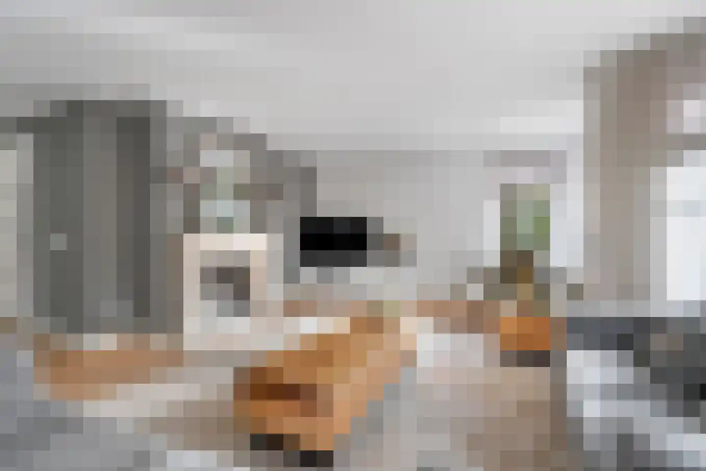 Weemselo 14 Losser thumbnail 10