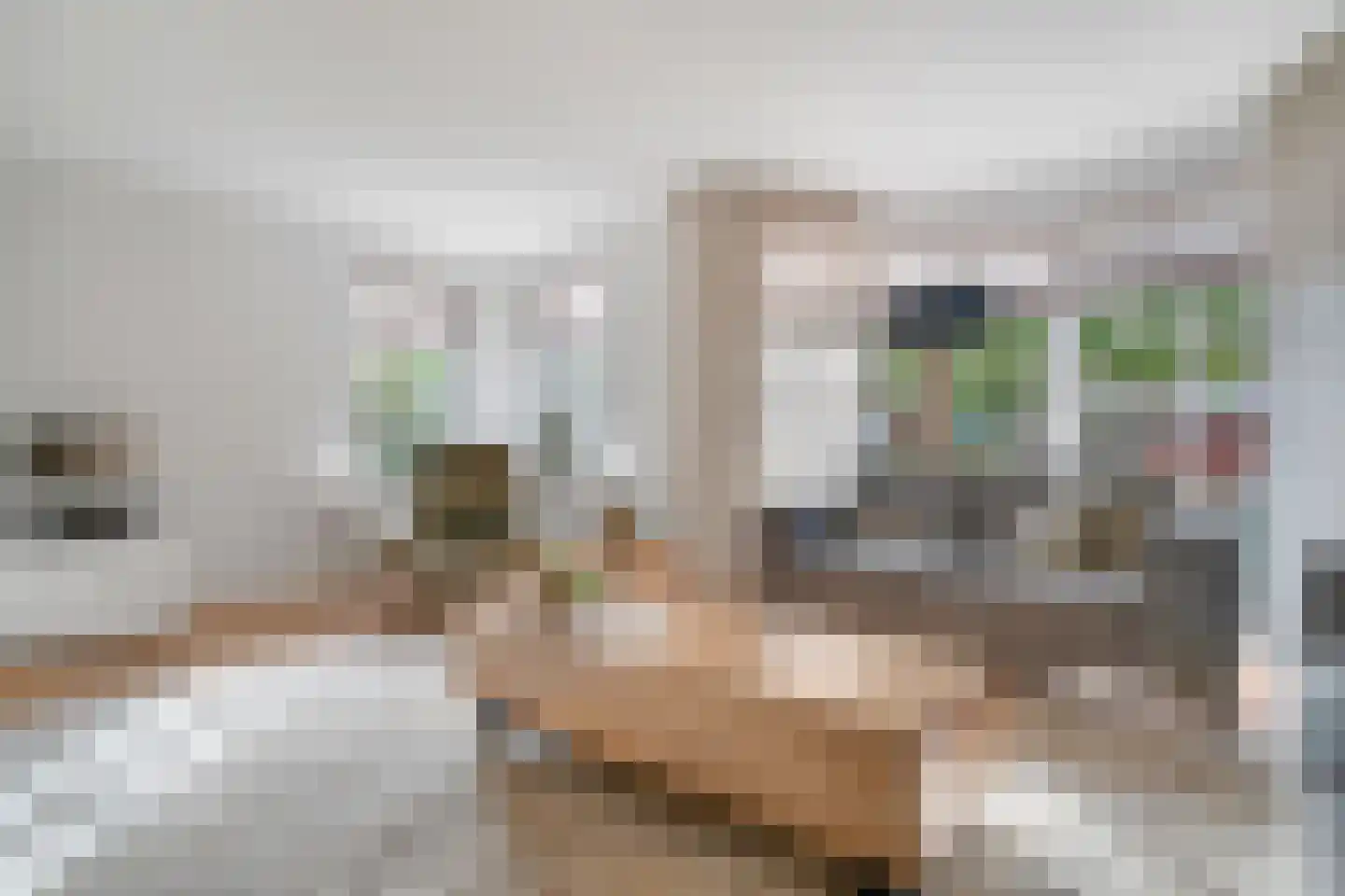 Weemselo 14 Losser thumbnail 12