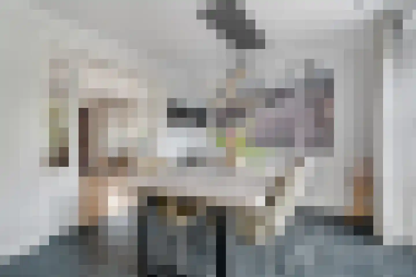Weemselo 14 Losser thumbnail 16