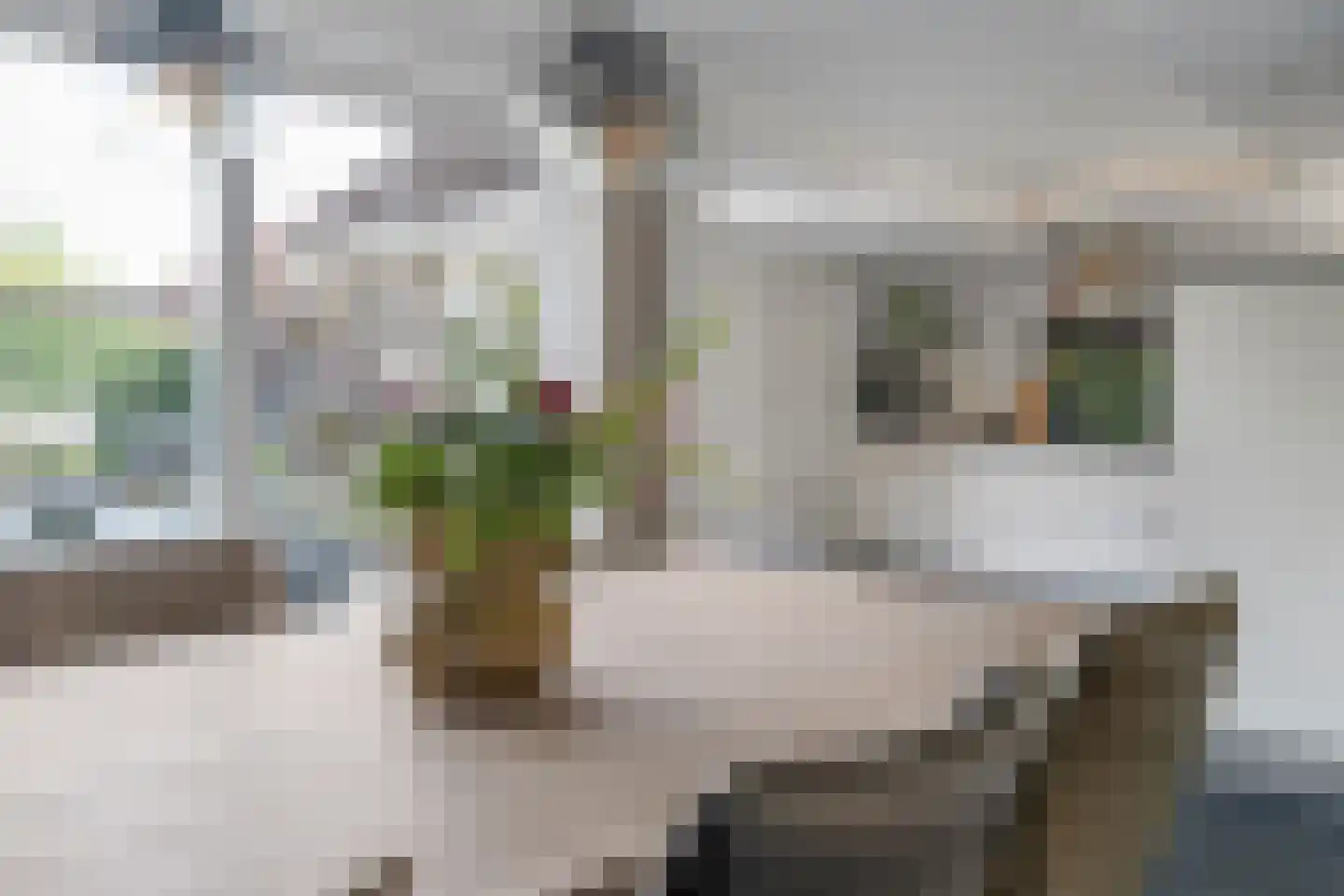 Weemselo 14 Losser thumbnail 17