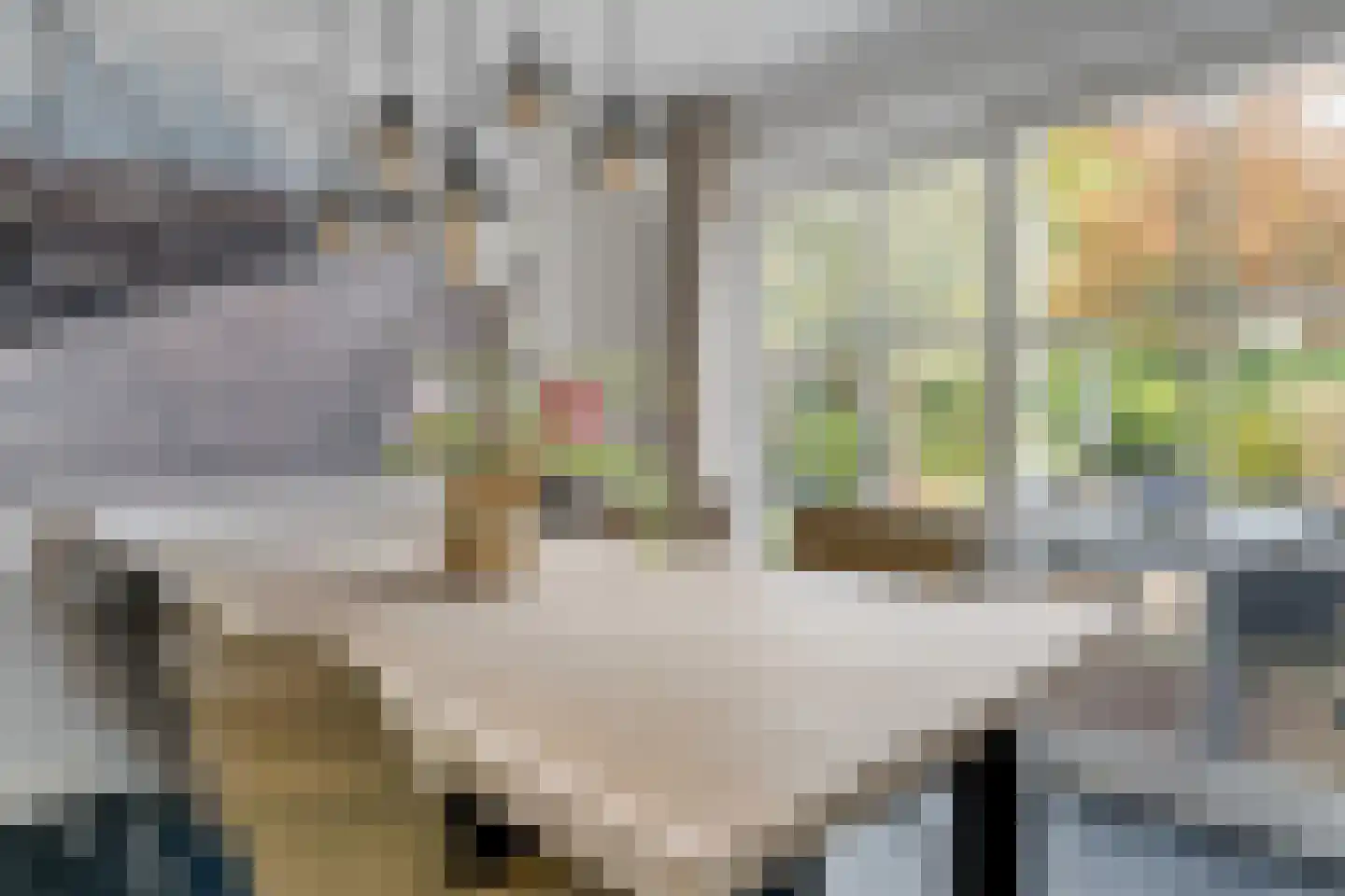 Weemselo 14 Losser thumbnail 19