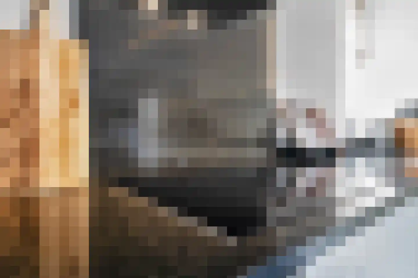 Weemselo 14 Losser thumbnail 21