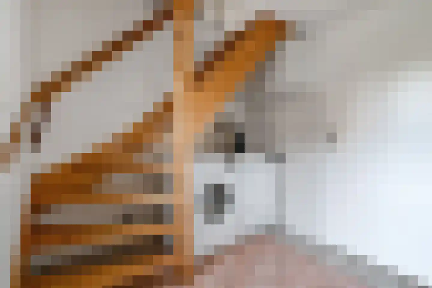 Weemselo 14 Losser thumbnail 24