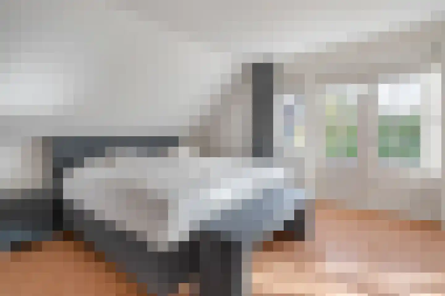 Weemselo 14 Losser thumbnail 30
