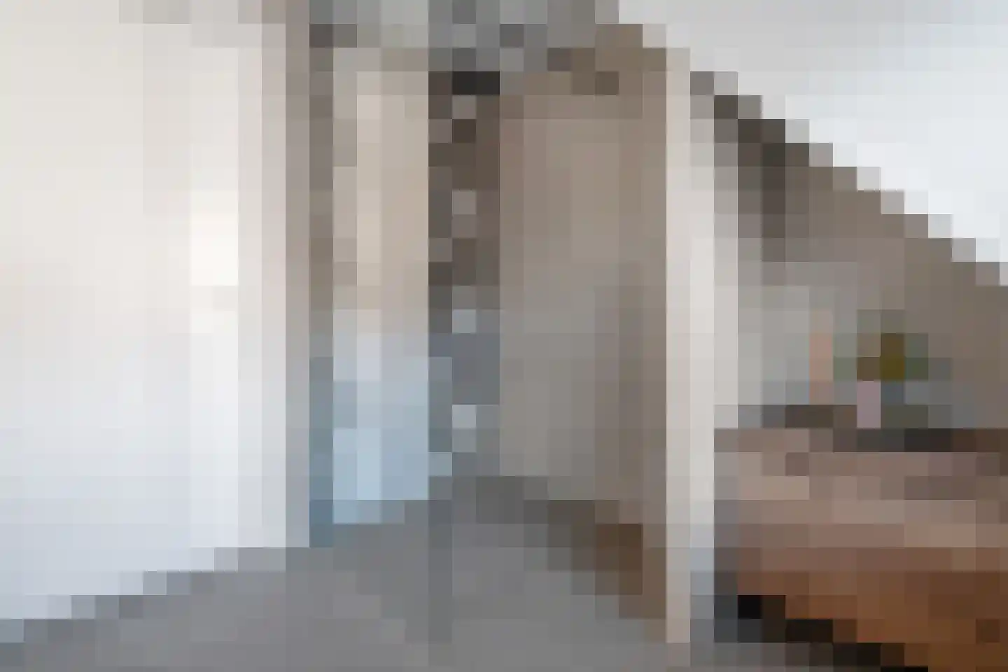 Weemselo 14 Losser thumbnail 35