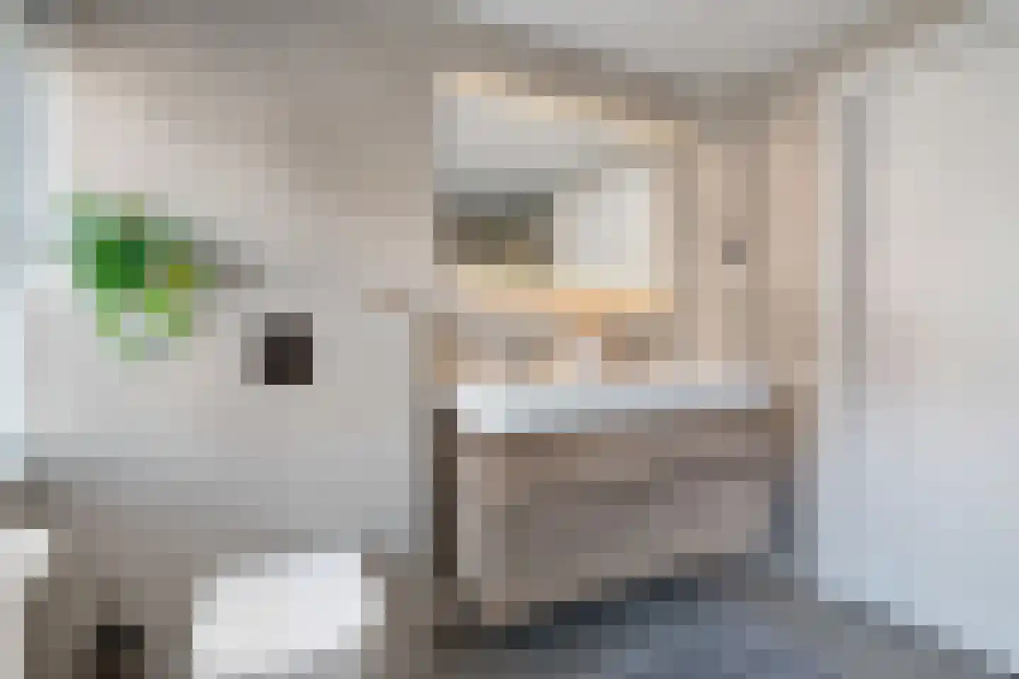 Weemselo 14 Losser thumbnail 36