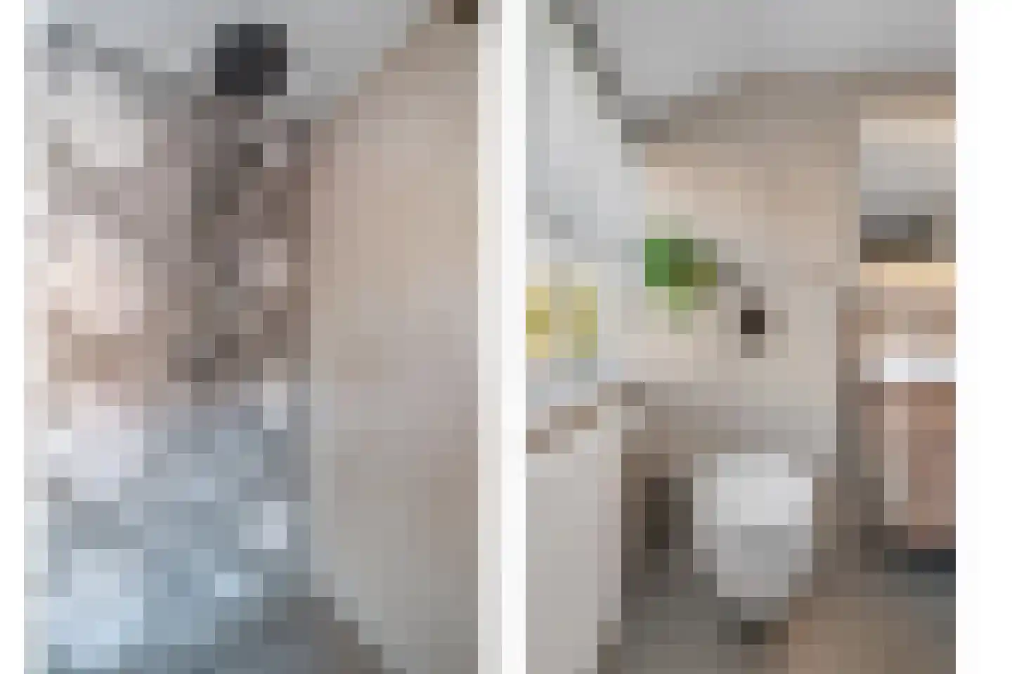 Weemselo 14 Losser thumbnail 37