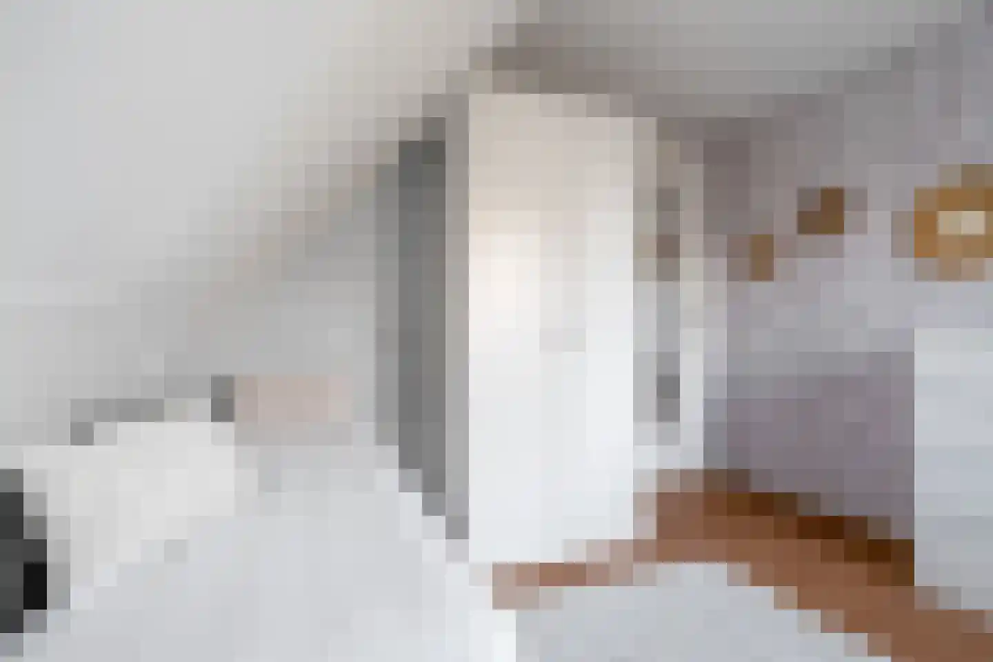 Weemselo 14 Losser thumbnail 40