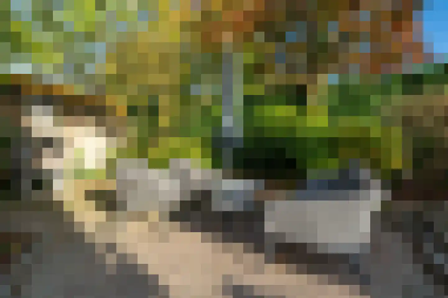 Weemselo 14 Losser thumbnail 44