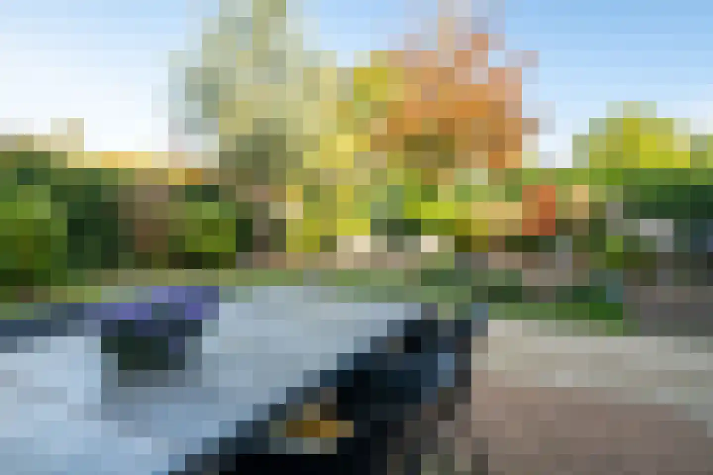 Weemselo 14 Losser thumbnail 45