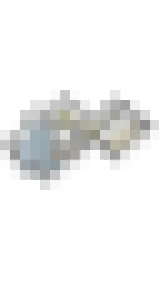 Weemselo 14 Losser thumbnail 55