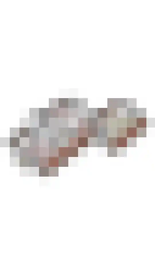 Weemselo 14 Losser thumbnail 56