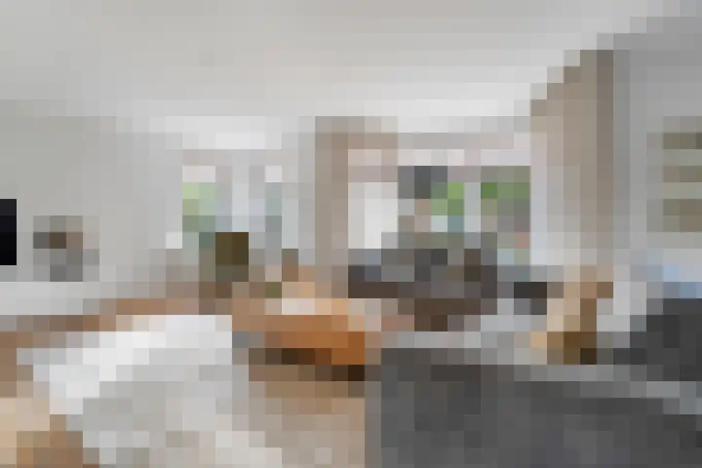 Weemselo 14 Losser thumbnail 8