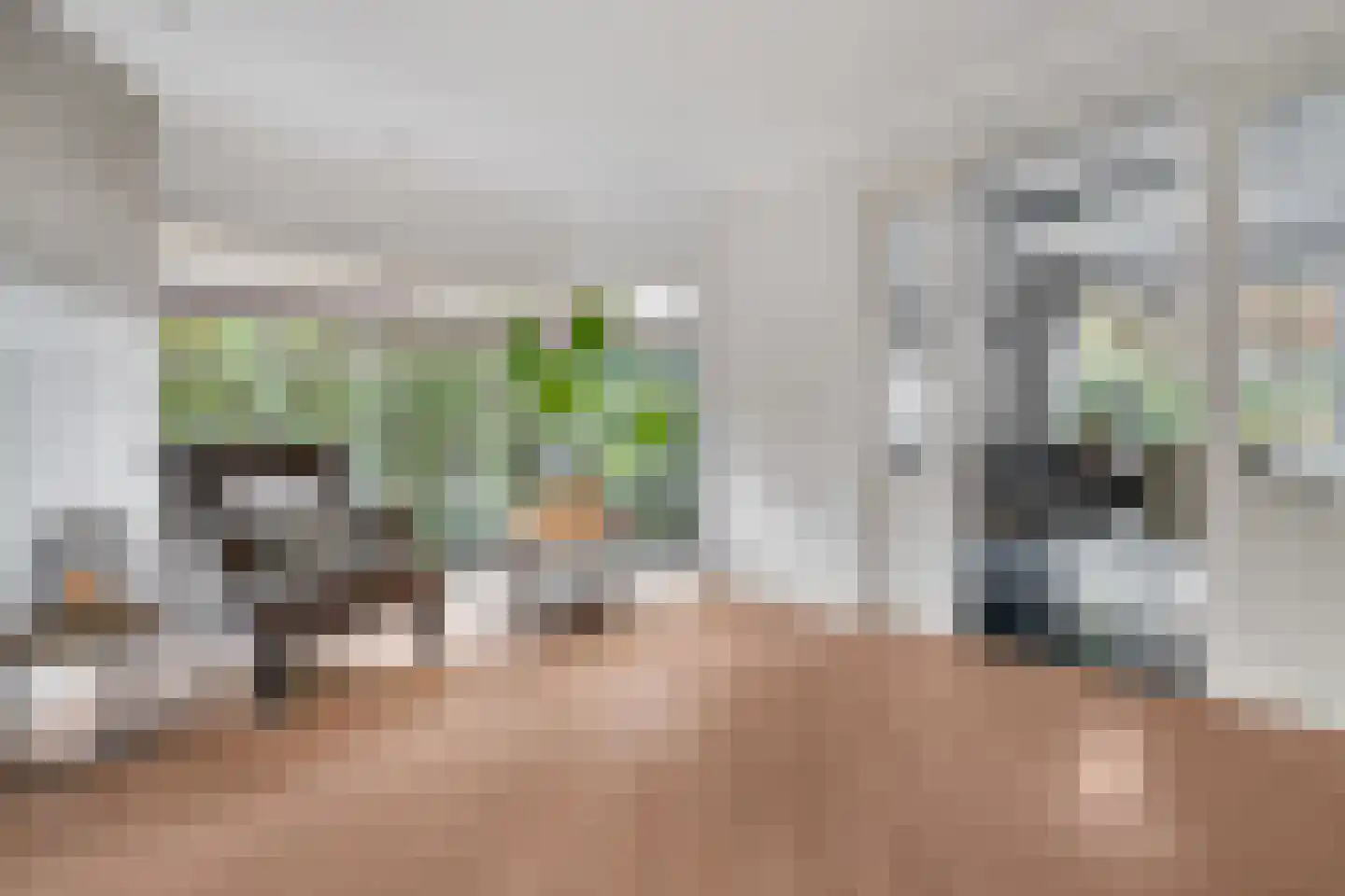 Weemselo 14 Losser thumbnail 9
