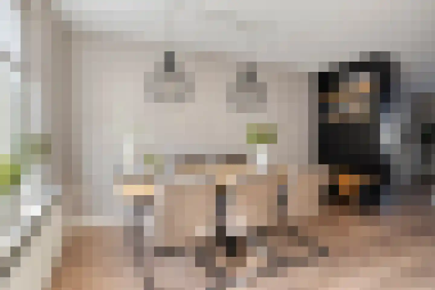 Weemselo 27 Losser thumbnail 16