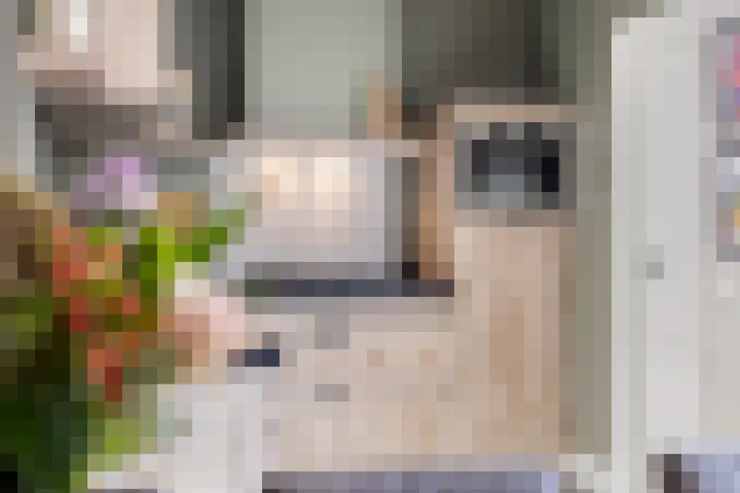 Weemselo 27 Losser thumbnail 17